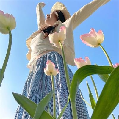 梨花劫粤语