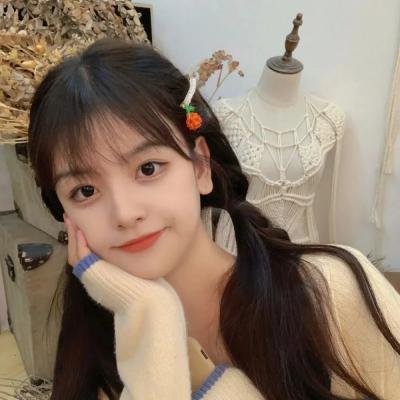 多龙芝